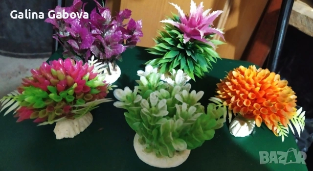 Аквариум и декорация , снимка 7 - Аквариуми - 29214917