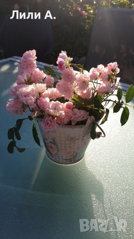 Винтидж/Ретро кофичка за декорация