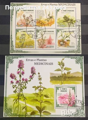 2555. Сао Томе и Принсипи 2009 ~ “ Флора. Лечебни растения. “, СТО