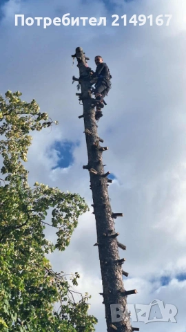 Рязане почистване извозване , снимка 5 - Други услуги - 53743500