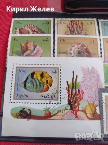 Пощенски марки серия ЕКЗОТИЧНИ РИБИ,РАКОВИНИ за КОЛЕКЦИЯ 37886, снимка 14 - Филателия - 40455113
