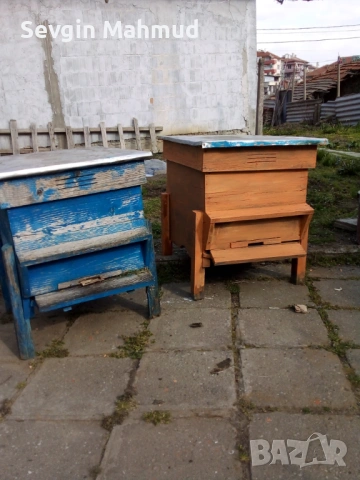 Селскостопански животни . 