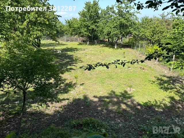 Рязане на асми, лозе и косене на трева за 1 Декър 70 евро . , снимка 2 - Други почистващи услуги - 53704400