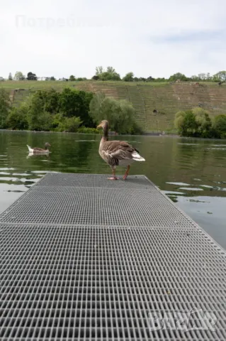 Метална решетка за английски двор или градина, снимка 5 - Огради и мрежи - 49556359