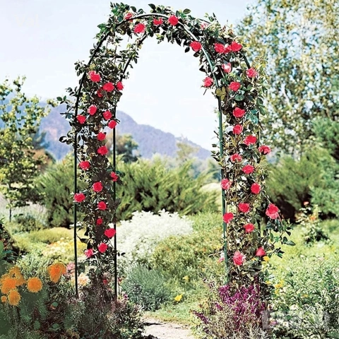 Декоративна градинска пергола тип арка – Опора за рози, лози и зеленчуци, снимка 15 - Декорация за дома - 53796631