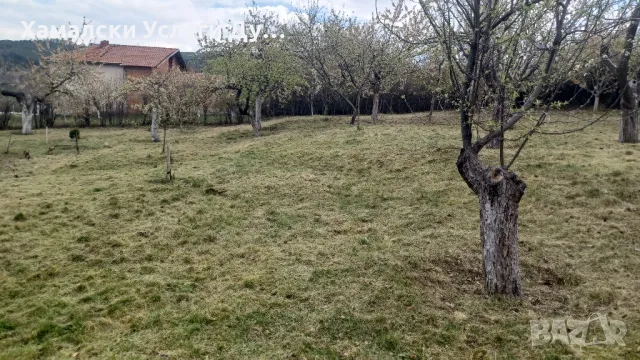 хамали Дупница0896305156, снимка 12 - Хамалски услуги - 49889501