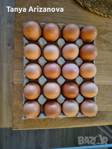 Домашни яйца от свободни кокошки