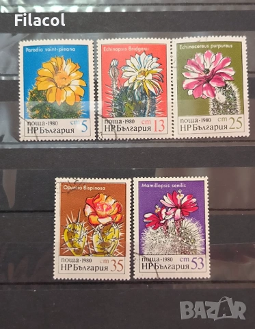 1980 (4 ноември) Кактуси.