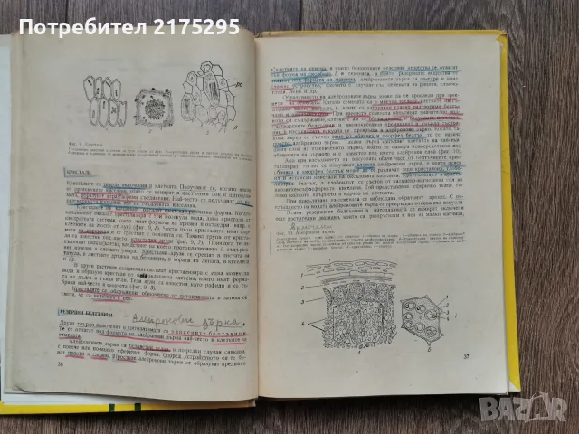 Ботаника - Земиздат -Г.Георгиев, 1973г., снимка 6 - Учебници, учебни тетрадки - 56225154