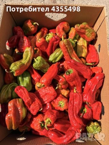 Домашен селски пипер цена от 3-5€кг