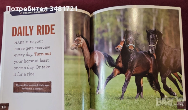 Грижа за конете / Caring for Horses, снимка 6 - Енциклопедии, справочници - 53748583