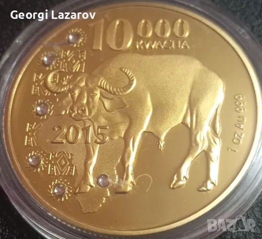 10000 квача Замбия 2015 Бивол