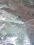 Покривало за градинска люлка, снимка 16