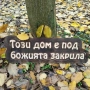 Дървени табели уникални, снимка 1