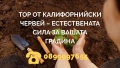 🌱 Тор от Калифорнийски Червей – естествената сила за вашата градина, снимка 1