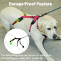 Paworld Escape регулируем нагръдник за големи кучета (розово червено, зелено сиво XL), снимка 4