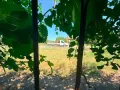 Парцел в с.Дреновец, снимка 5