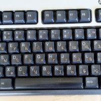 Клавиатура  HP KU-0316, Черно/сиво - silver/black - кирилица, снимка 6 - Клавиатури и мишки - 41817098