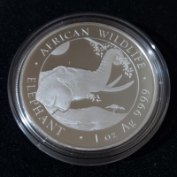 Сомалия 2023 - 100 Шилинга - 1 OZ – Слон Сребърна монета, снимка 1 - Нумизматика и бонистика - 44768088
