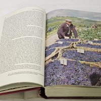 Страхотна книга за виното , снимка 4 - Специализирана литература - 41315336