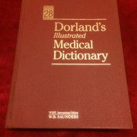 Медицински учебник.Dorland's illustrated Medical Dictionary 28.версия, снимка 1 - Специализирана литература - 35776907