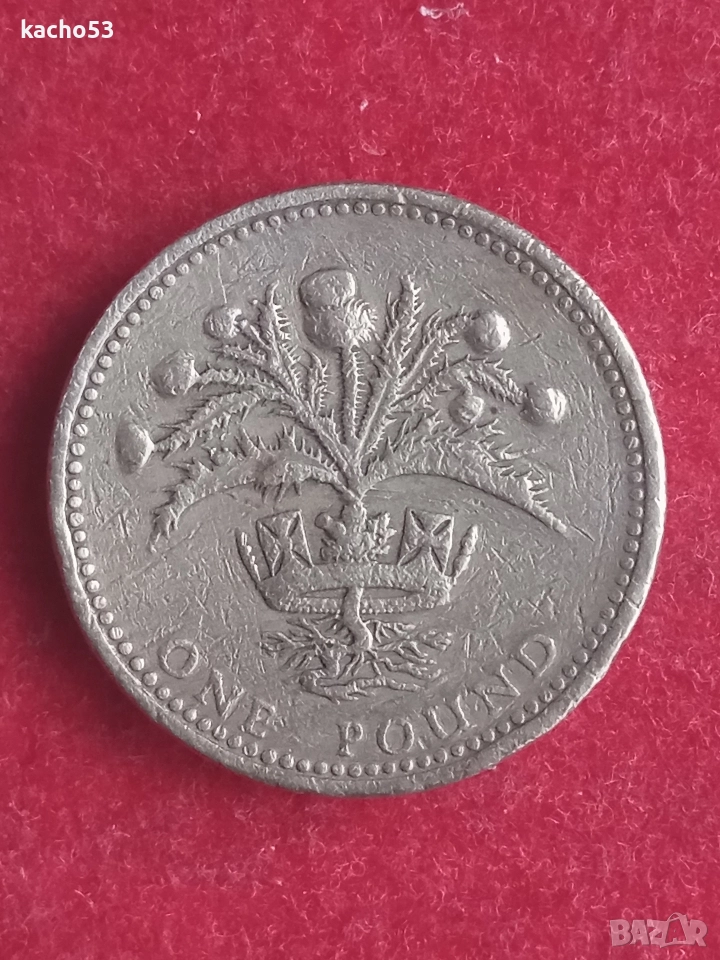 1 паунд 1989 г. Великобритания., снимка 1