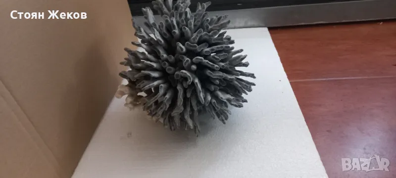 продавам син корал, снимка 1