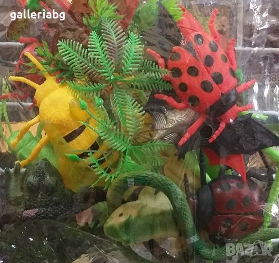 Комплект с насекоми и влечуги , снимка 1