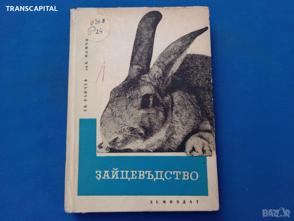 Зайцевъдство , снимка 1