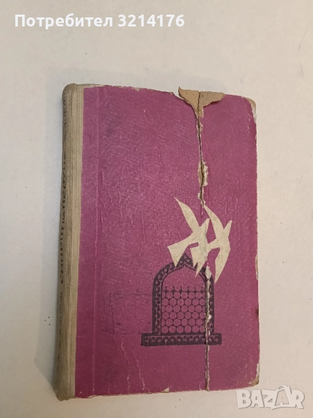 Синът на Перуна - Петър Япов, снимка 1