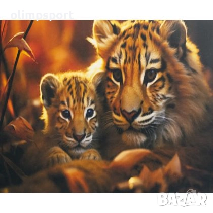 Диамантен пъзел мозайка с размери 40х30 см. 27010963 , снимка 1