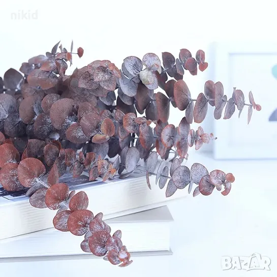 5 бр Естествени Листа от Евкалипт Клони Стъбла Сухи Цветя декорация, снимка 1