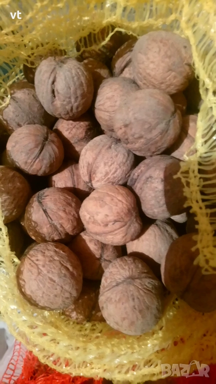 Предлагам орехи, снимка 1