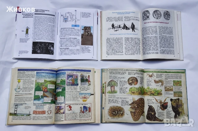 Четири книжки „Детска енциклопедия“., снимка 3 - Детски книжки - 51211650
