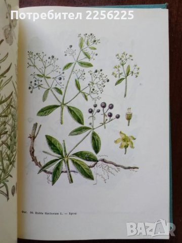 Фитотерапия , снимка 4 - Специализирана литература - 50501664