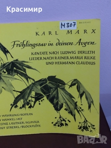 KARL MARX Винилова плоча , снимка 6 - Грамофонни плочи - 52507704