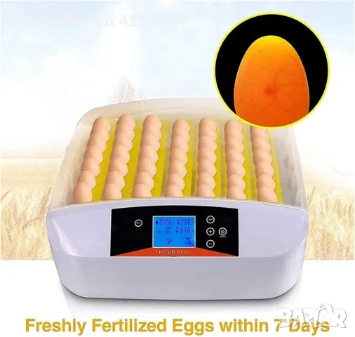 Инкубатор за яйца – 42 яйца с LED дисплей и автоматичен контрол, снимка 4 - Селскостопанска техника - 48880169