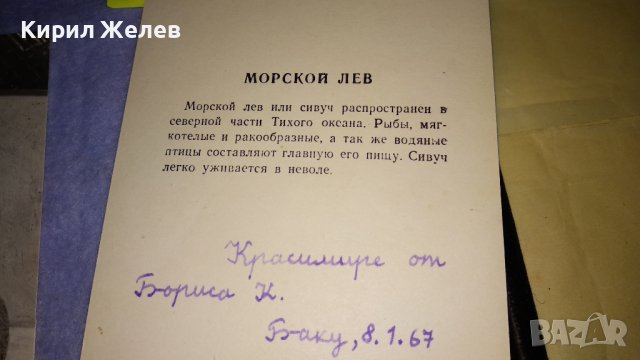 ЛОТ ЧЕТИРИ СТАРИ ПОЩЕНСКИ КАРТИЧКИ СССР ГДР ТЕМА ФАУНА и ПАМЕТНИЦИ 33068, снимка 7 - Филателия - 38662485