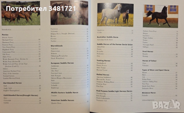 Hamlyn All Colour Guide to Horses, снимка 2 - Енциклопедии, справочници - 53251507