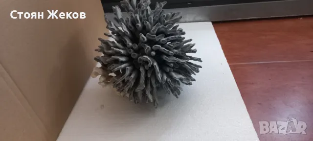 продавам син корал