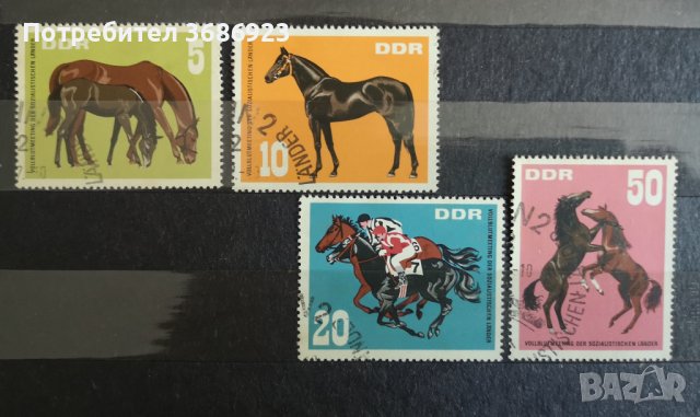 Коне-ГДР 1967г.