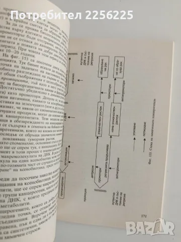 Биохимия на ксенобиотиците, снимка 3 - Специализирана литература - 56149651