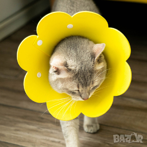 Мека предпазна яка за кучета и котки. Предпазна яка за куче. Предпазна яка за котка. Предпазни яки

, снимка 4 - За котки - 33104578