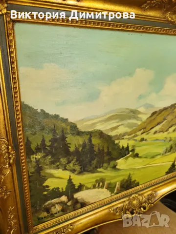 Картина Маслени бои, снимка 6 - Картини - 47398876