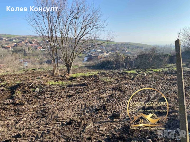 Къща село Момково, снимка 10 - Къщи - 53858151