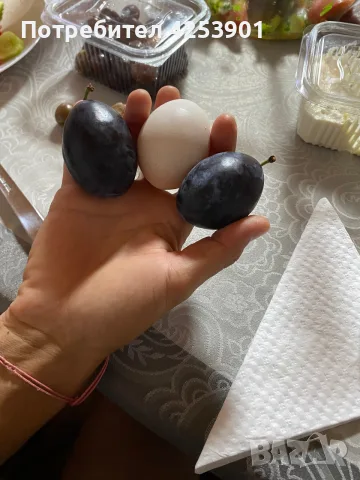 Сини сливи за ракия, снимка 2 - Домашни продукти - 55702805