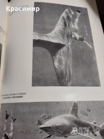 МЬl ВЬlХОДИМ ИЗ МОРЯ ., снимка 4 - Художествена литература - 52506633