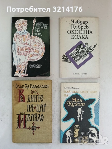 Най-малкият брат на Дон Кихот - Димитър Василев