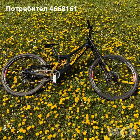 Santa Cruz v10 2023 