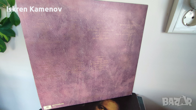 Грамофонни плочи, снимка 7 - Грамофонни плочи - 36239393